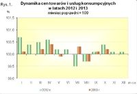 Dynamika cen towarów i usług konsumpcyjnych 2012-2013