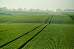 Kupno ziemi rolnej w 2016 roku wg nowych zasad