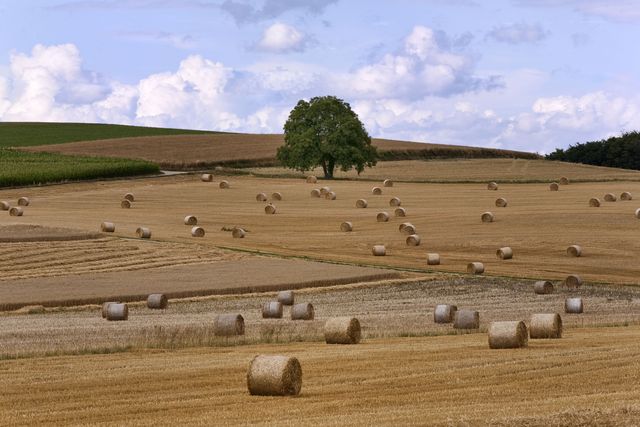 Ceny ziemi rolnej rosną 18% rocznie