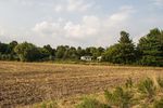 Ceny ziemi rolnej w II kw. 2014