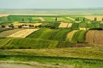 Ceny ziemi rolnej w Polsce rosną, ale są niższe niż średnia UE