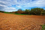 Czy ziemia rolna w Polsce zdrożeje?