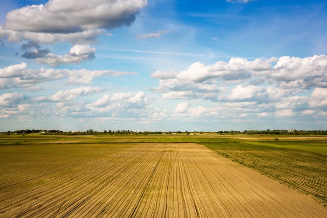 Duże działki rolne drożeją szybciej