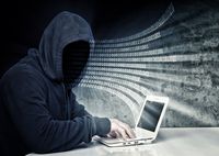 Rok 2013 w świecie cyberbezpieczeństwa zaczął się atakami Anonymous
