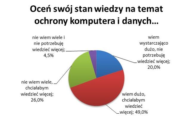 Polscy internauci a bezpieczeństwo internetowe