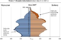Piramida wieku ludności (stan w dniu 31.12.2007 r.)
