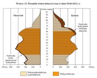 Piramida wieku ludności (stan w dniu 30.06.2012 r.)