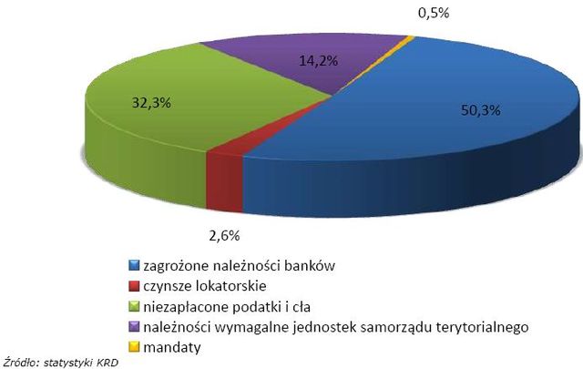 KRD: długi Polaków 2007