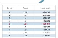 Rejestracja domen .pl w III kw. 2010 r.