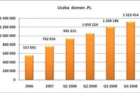 Rejstracja domen .pl w 2008 roku