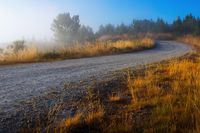 Czym w praktyce jest odpowiedni dostęp do drogi publicznej?