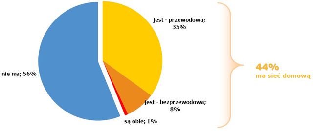 Sieci komputerowe u niemal połowy Polaków
