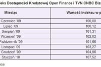 Dostępność kredytów: indeks I 2010 Dostępność kredytów: indeks I 2010