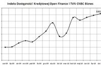 Dostępność kredytów: indeks VIII 2010