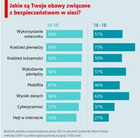 Jakie są Twoje obawy związane z bezpieczeństwem w sieci?