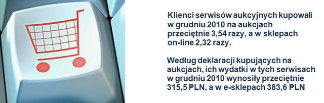 Polscy internauci a e-commerce 2010