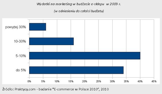 Polski rynek e-commerce w 2009 r.