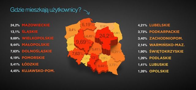 E-handel w Polsce I-VI 2012