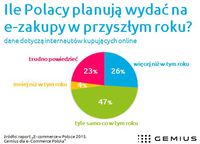 Ile Polacy planują wydać na e-zakupy w przyszłym roku?
