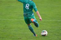 Polska Ekstraklasa – przychody w 2014 r.
