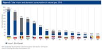 Import i krajowa konsumpcja gazu naturalnego 2010