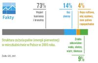 Struktura zużycia paliw (energii pierwotnej) w mieszkalnictwie w Polsce w 2005 roku.