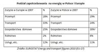 Podział zapotrzebowania na energię w Polsce i Europie