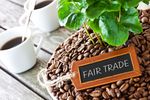 Fairtrade a drobni rolnicy i pracownicy najemni