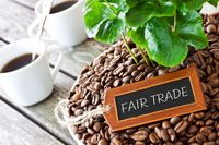 87% wartości sprzedaży wszystkich produktów Fairtrade wygenerowały kawa, banany, kakao i kwiaty