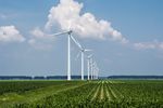 Wiatraki filarem transformacji energetycznej w Polsce