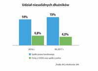 Udział niesolidnych dłużników