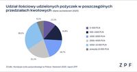 Udział ilościowy udzielonych pożyczek w poszczególnych przedziałach kwotowych