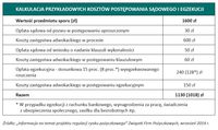 Kalkulacja przykładowych kosztów postępowania i egzekucji