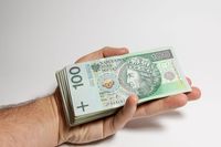 Najlepiej spłacane są pożyczki celowe
