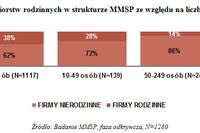 Firmy rodzinne to głównie firmy mikro