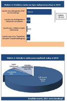 Strukrura rynku w/g wykupionej usługi i udziały rynku poszczególnych usług w 2010
