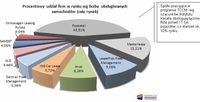 Procentowy udział firm w rynku wg liczby obsługiwanych samochodów