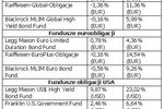 Zagraniczne fundusze obligacji: co oferują?