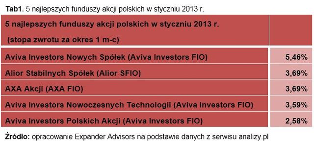 Ranking funduszy inwestycyjnych I 2013