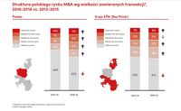 Struktura polskiego rynku M&A wg wielkości zawieranych transakcji