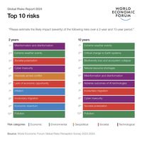 TOP 10 ryzyk