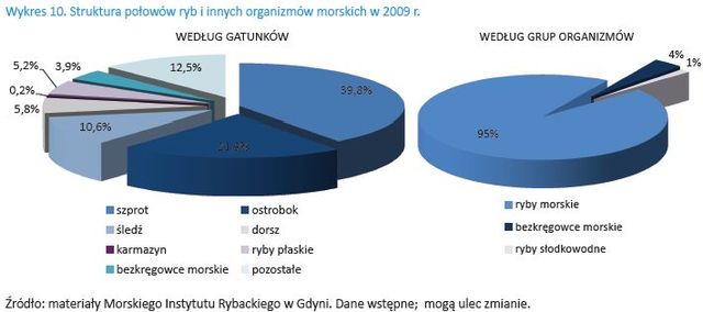 Gospodarka morska w Polsce 2009