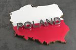 Rozwój gospodarczy Polski to sukces, ale reformy konieczne
