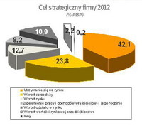 Cel strategiczny firmy 2012