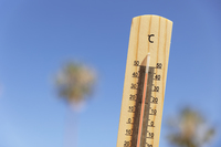 Temperatura w górę, PKB w dół. Ile gospodarka traci na fali upałów?