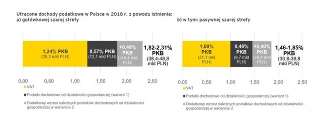 Szara strefa w Polsce to prawie 11% PKB