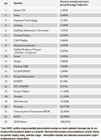 Ranking spółek giełdowych – najtańszy debiut w 2008 roku. Źródło: IPO.pl