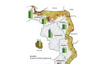 Strefa przygraniczna w Polsce 2011: podmioty gospodarcze