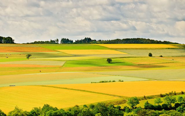 Już za dwa dni obrót ziemią rolną będzie ograniczony