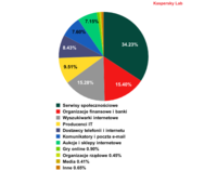 Rozkład 100 organizacji najczęściej atakowanych przez phisherów wg kategorii  II kw. 2013 r.